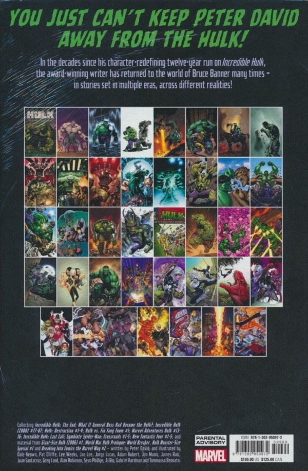INCREDIBLE HULK BY PETER DAVID OMNIBUS VOL 05 HC [VARIANT] [9781302950972] **promocja TOMY**