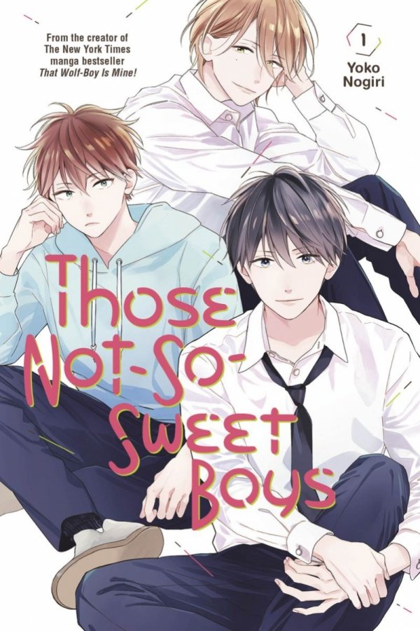 THOSE NOT-SO-SWEET BOYS VOL 01 TP [9781646511747]