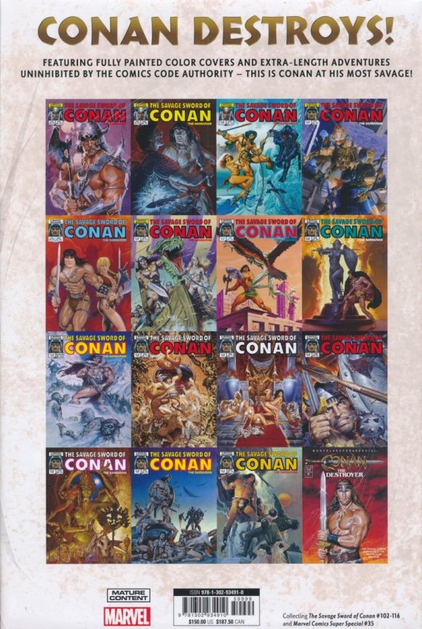 SAVAGE SWORD OF CONAN THE ORIGINAL MARVEL YEARS OMNIBUS VOL 08 HC [VARIANT] [9781302934910] **promocja TOMY**