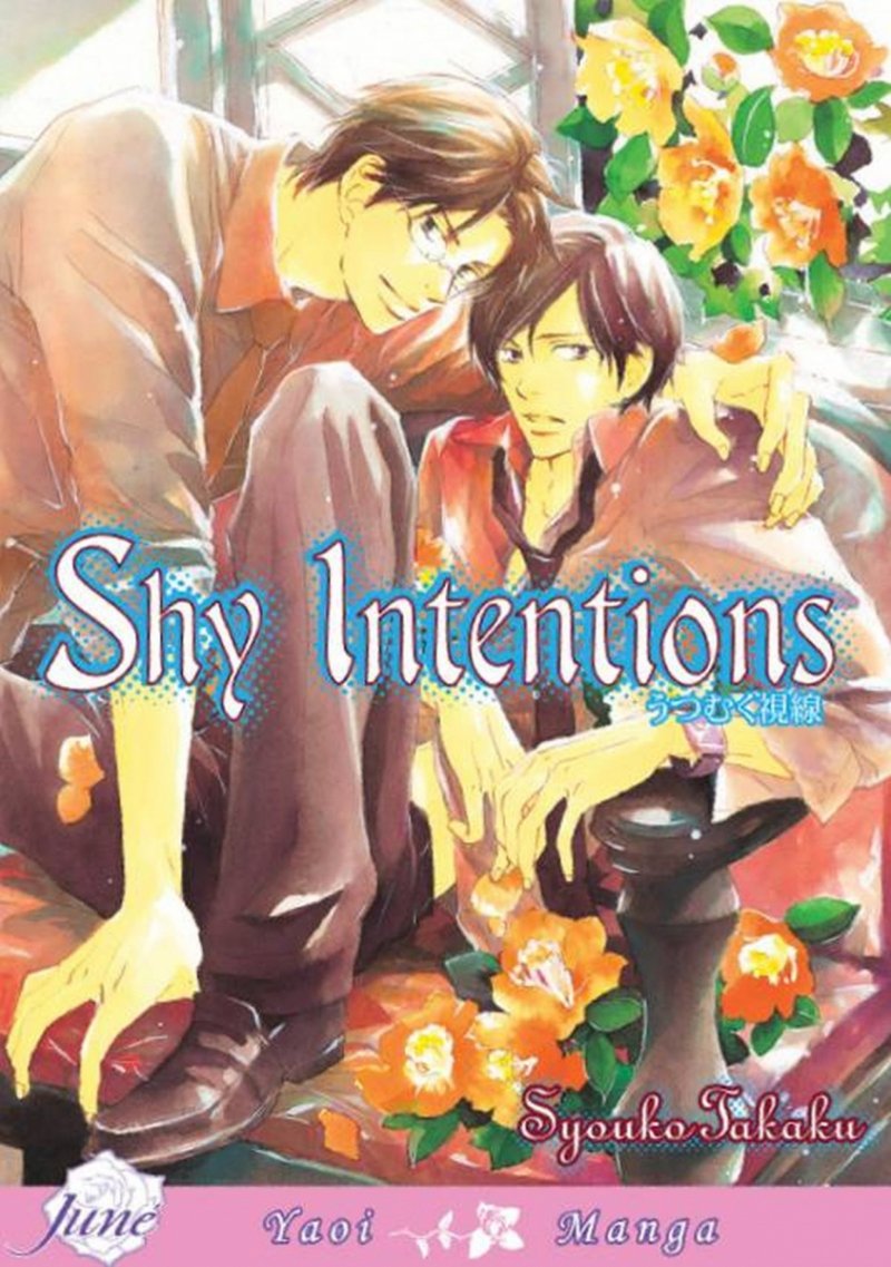 SHY INTENTIONS GN [9781569705674]