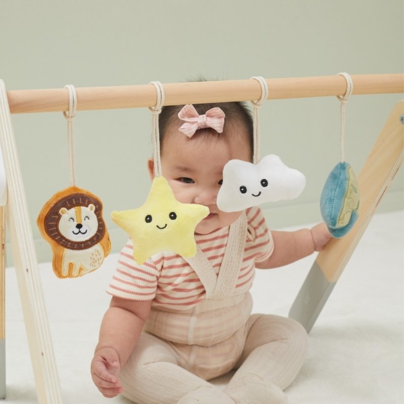 Pałąk Stojak dla Niemowląt Baby Gym z zabawkami Viga PolarB 