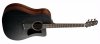 Gitara elektro-akustyczna IBANEZ AAD190CE-WKH