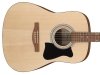 Gitara akustyczna IBANEZ V50NJP-OPN (jam pack)