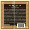 Struny do mandoliny ERNIE BALL 2065 (10-36)