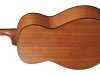 Gitara akustyczna IBANEZ VC50NJP-OPN (jam pack)