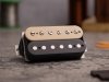 TONERIDER RockSong F-spaced (ZB, bridge)