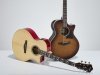 Gitara elektro-akustyczna IBANEZ AE170-NTR