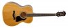 Gitara akustyczna RICHWOOD RA-12 (NT)