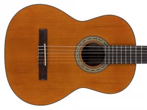 Gitara klasyczna 4/4 SALVADOR CORTEZ Nova C