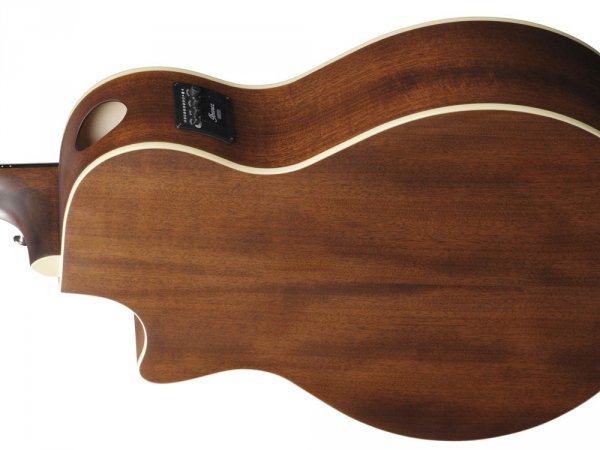 Gitara elektro-akustyczna IBANEZ AE100-DBF