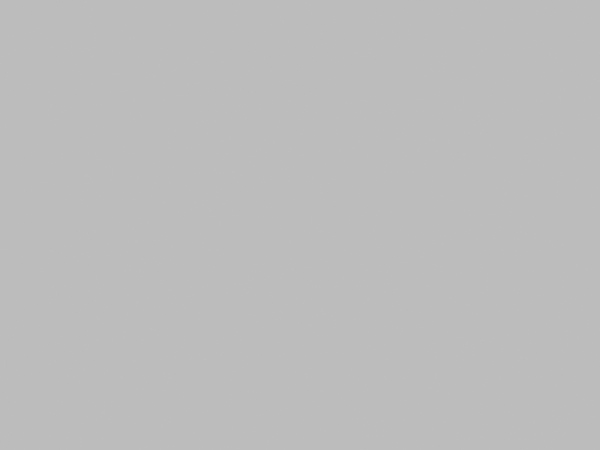 Lakier podkładowy DARTFORDS (Grey)