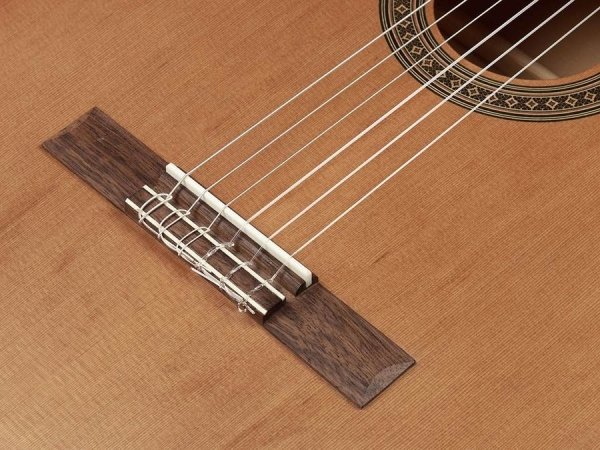 Gitara klasyczna 4/4 SALVADOR CORTEZ Student CC-06