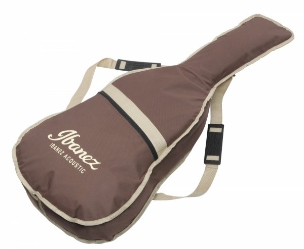 Gitara elektro-akustyczna IBANEZ AE240JR-MHS pokr.