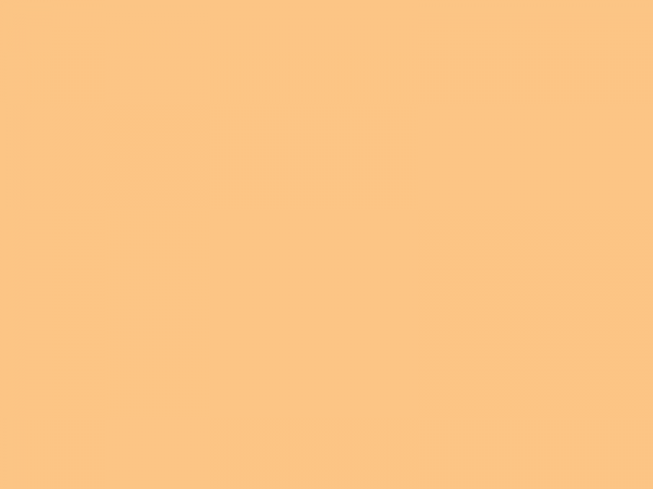 Lakier celulozowy DARTFORDS (Desert Tan)