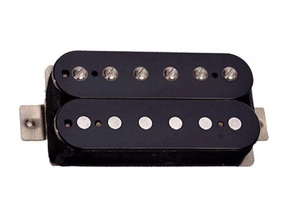 TONERIDER Alnico 2 Classics (BK, neck)