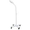 LAMPA Z LUPą BR-663G