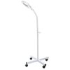 LAMPA Z LUPą BR-663G