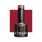 OCHO NAILS Lakier hybrydowy autumn A02 -5 g 