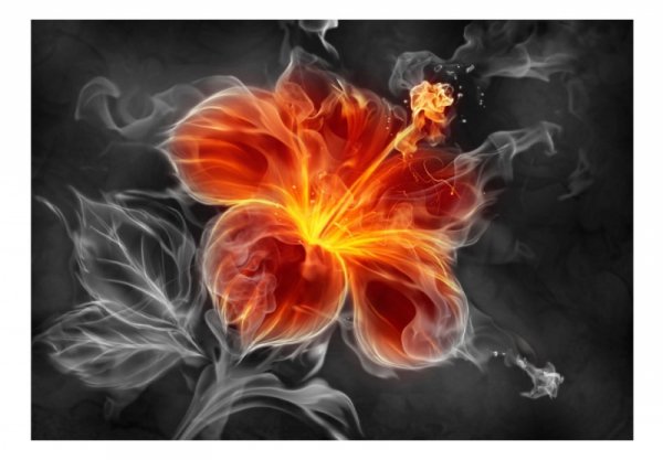 Fototapeta - Ognisty kwiat pośród dymu