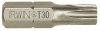 GROT TYPU TORX 1/4' 25MM 10 SZT. T25