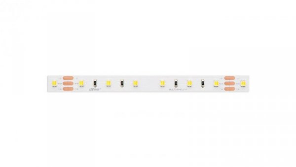 Taśma LED line 300 SMD3528 24V MULTIWHITE 241819/5m/