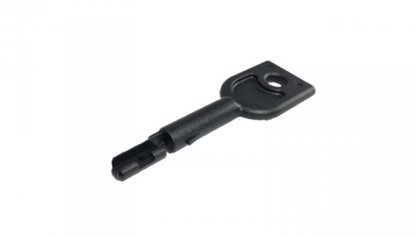 Klucz do blokady wtyku RJ45 WT-BWK