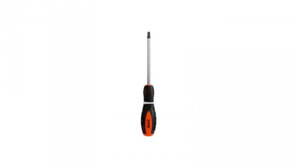 WKRĘTAK TORX SERIA M3 6*100MM T25