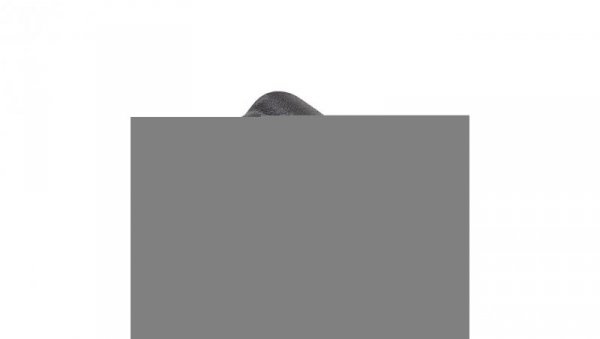 Wtyczka do zasilacza uniwersalnego Akyga AK-ND-C10 USB-C / 4.5 x 3.0 mm DELL