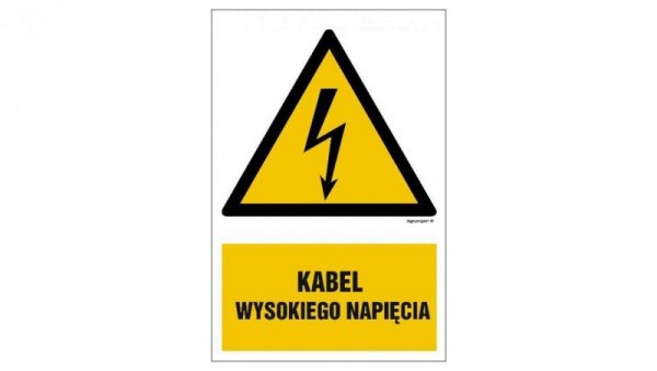ZNAK - HA005 Kabel wysokiego napięcia 50 x 75 cm PN - Płyta 1mm