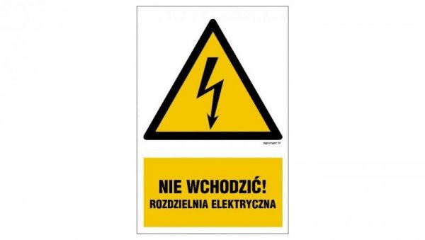 ZNAK - HA029 Linia wysokiego napięcia 60 x 75 cm BN - Płyta żółta 0,6mm