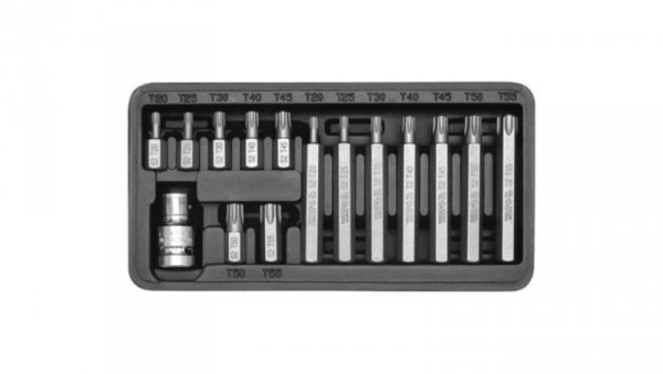 KOMPLET KLUCZY SPECJALNYCH 15CZ TORX