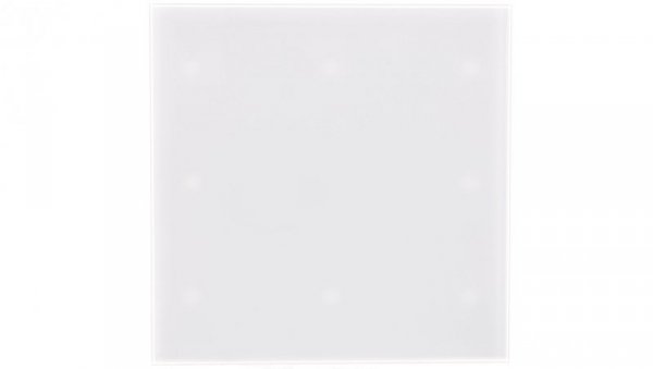 Panel do ramki i korpusu 100mm Trax Glass PTG100