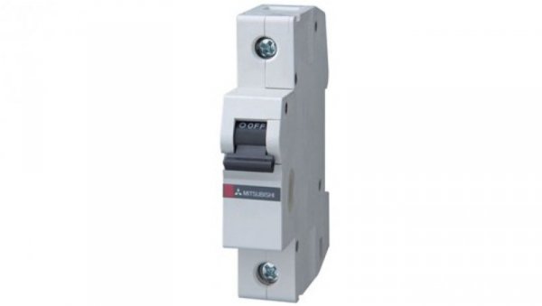 Wyłącznik nadprądowy BHW-T10 1P TYP C 32A MCB 10kA