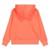Bluza z kapturem Męska Champion