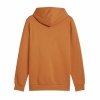 Bluza z kapturem Męska Puma Essentials Big Logo Hoodie Fl
