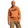 Bluza z kapturem Męska Puma Essentials Big Logo Hoodie Fl