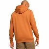 Bluza z kapturem Męska Puma Essentials Big Logo Hoodie Fl