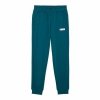 Spodnie dresowe dla dzieci Puma  Essentials