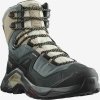 Buty górskie Salomon Quest Element Gore-Tex Kobieta Szary