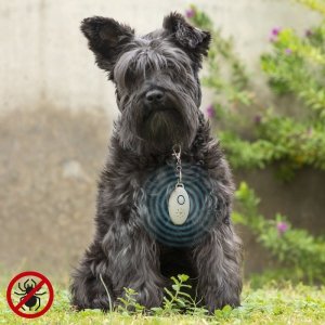 Bezprzewodowe i Ultradźwiękowe Urządzenie przeciw Pasożytom dla Zwierząt Domowych PetRep InnovaGoods