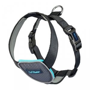 Szelki dla psa Company of Animals CarSafe Czarny XS