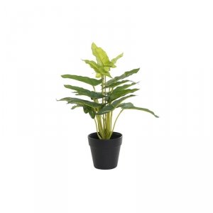 Roślina Dekoracyjna DKD Home Decor PVC polipropylen 25 x 25 x 30 cm