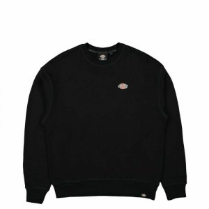 Bluza z kapturem Dickies Millersburg