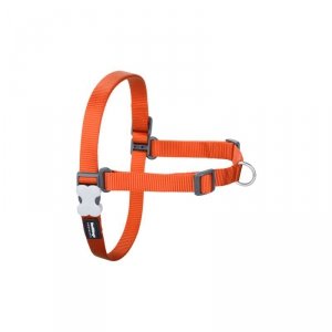 Szelki dla psa Red Dingo 36-50 cm Pomarańczowy S