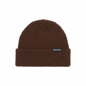 Czapka Sportowa Dickies Woodworth Brązowy Jeden rozmiar
