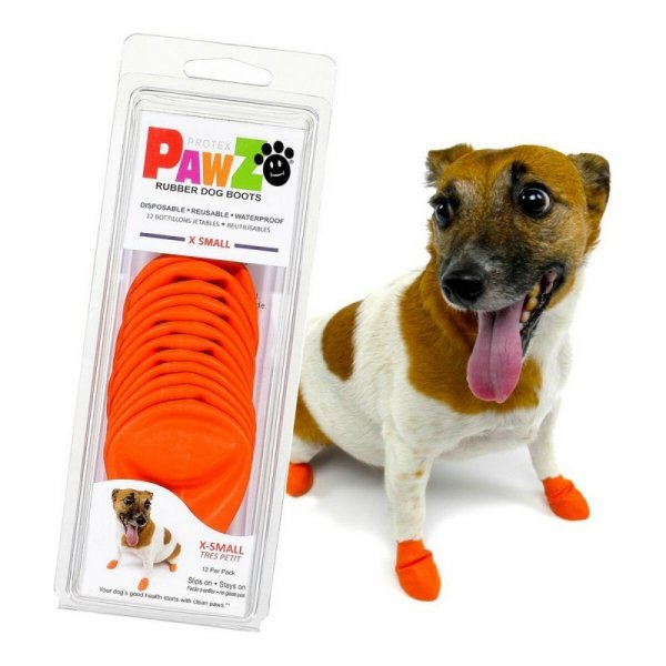 Buty Pawz Pies Pomarańczowy XS