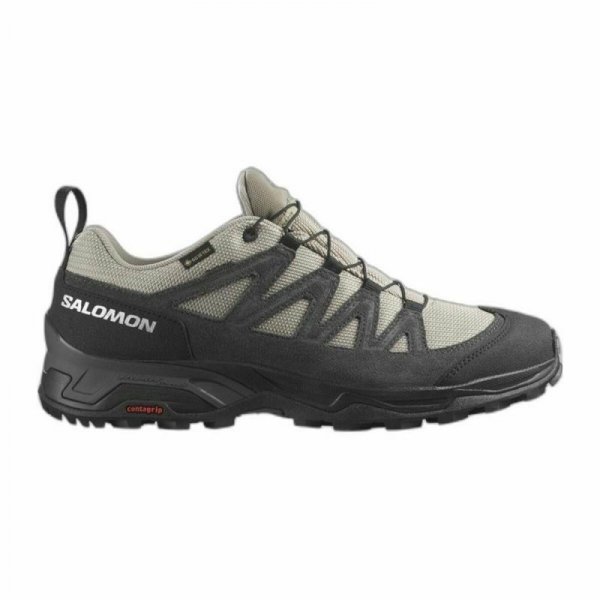 Obuwie do Biegania dla Dorosłych Salomon X Ward Beżowy Ciemny szary GORE-TEX Skórzany Góra