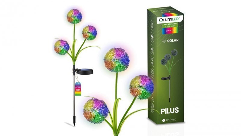 Lampa Solarna Ogrodowa LED PILUS RGB Wbijana Dekoracyjna Kwiat Czosnek LUMILED