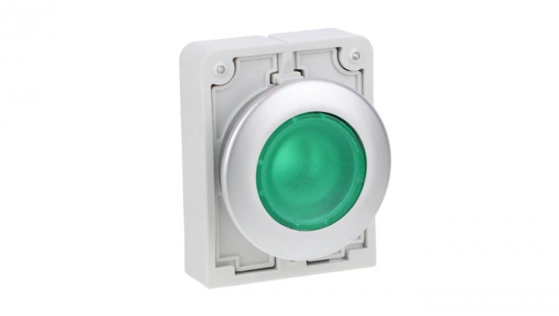 Napęd przycisku 30mm płaski zielony z podświetleniam z samopowrotem  M30C-FDL-G 182927 M30C-FDL-G 182927