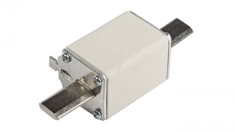 Wkładka bezpiecznikowa NH1 100A gF 500V WT-1 004139117